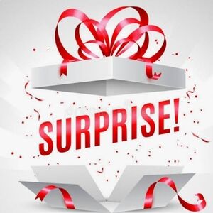 Surprise Sweater Bundles